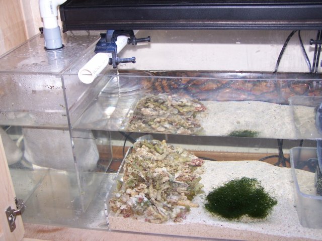REFuge bottom.JPG
