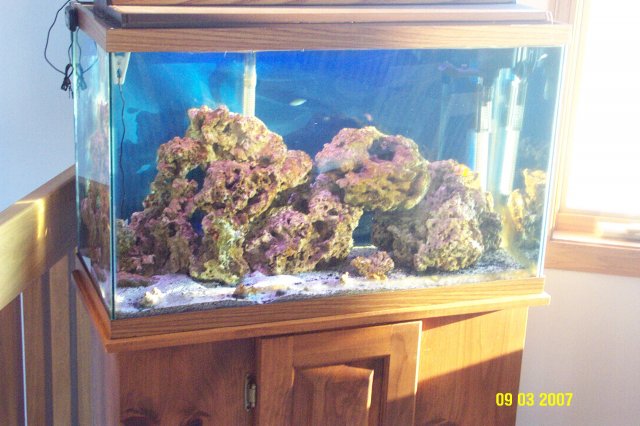 Salt Tank 004.jpg