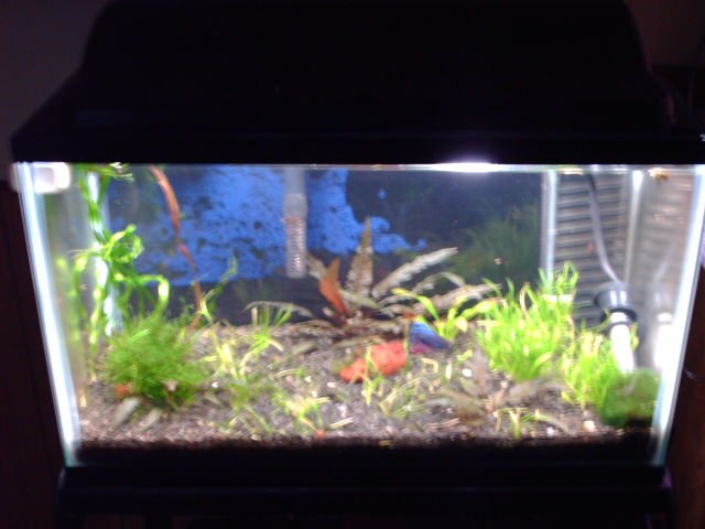 PICT0233.JPG