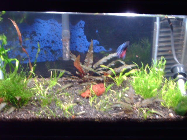 PICT0234.JPG