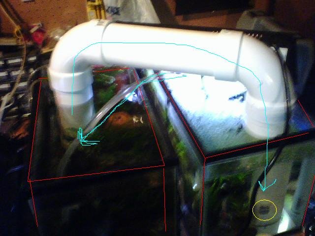 fish bridge.JPG
