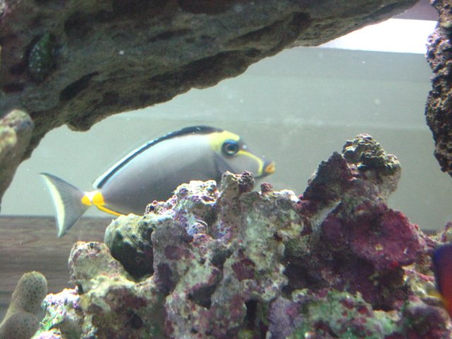 IMG_0451.JPG