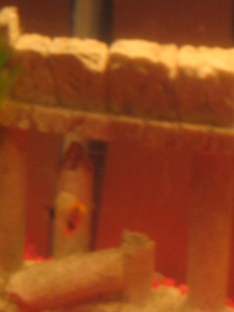 fish and me 036.jpg