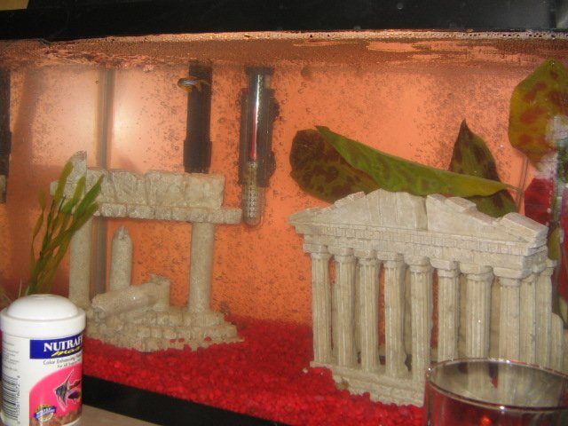 fish and me 001.jpg