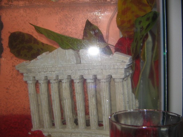 fish and me 002.jpg