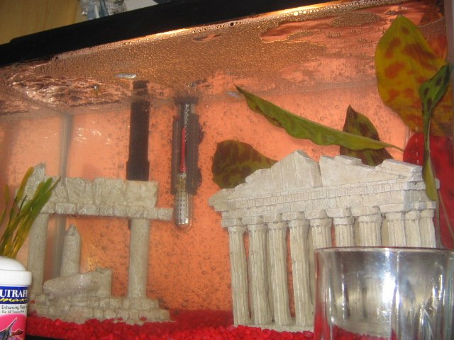 fish and me 003.jpg