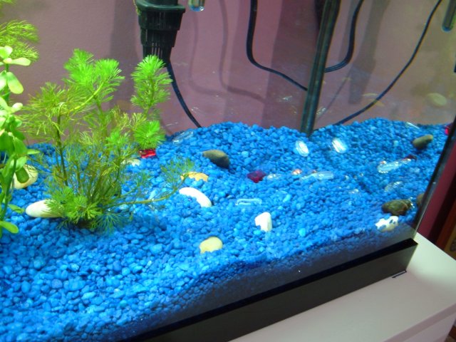 DSCF3074.JPG DSCF3074.JPG