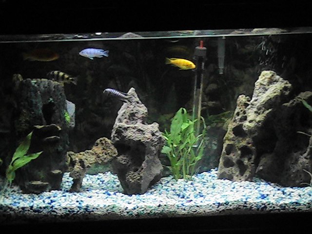 Aqua342.jpg