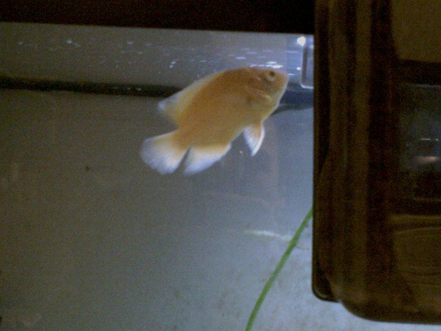 0912071358.jpg