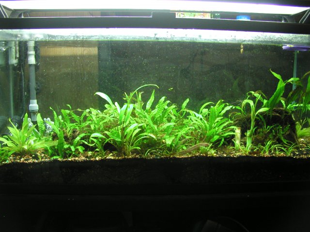 30L 1.JPG