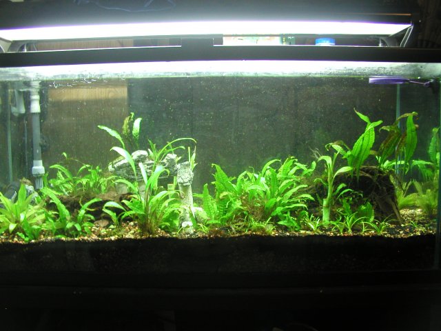 30L 2 column.JPG