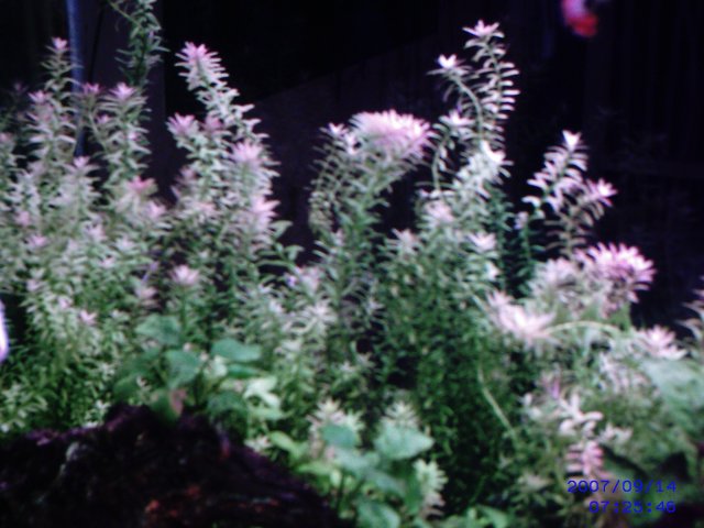SUNP0001.JPG