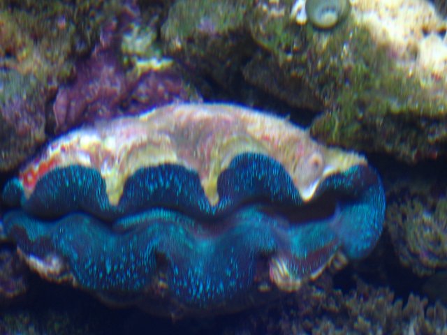 IMG_1226.JPG