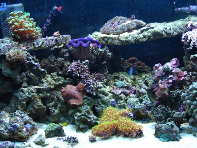 IMG_1255.JPG