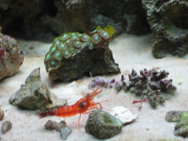 IMG_1260.JPG