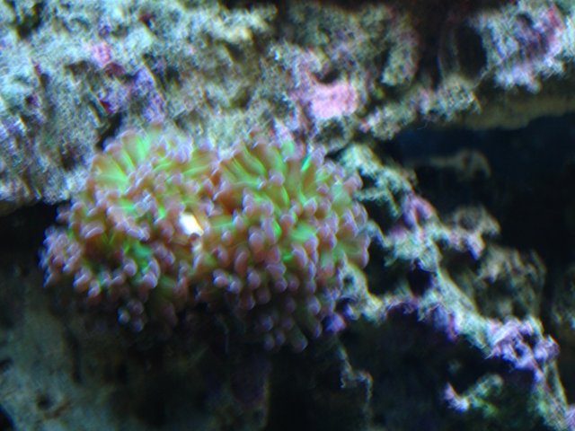 IMG_1238.JPG