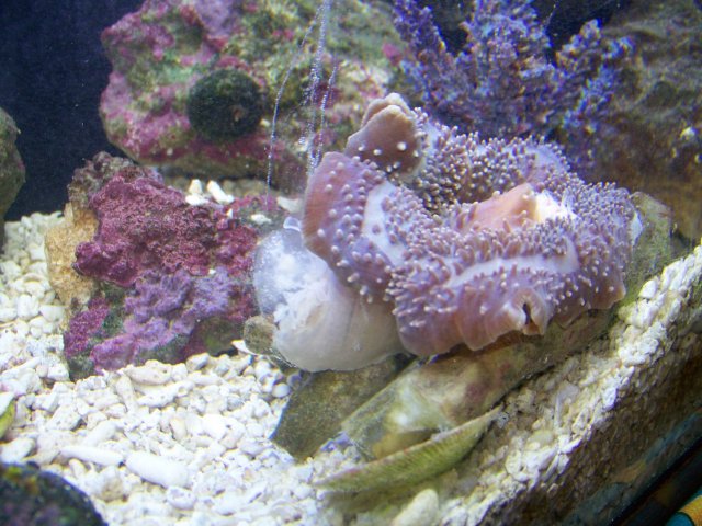 100_0845.JPG