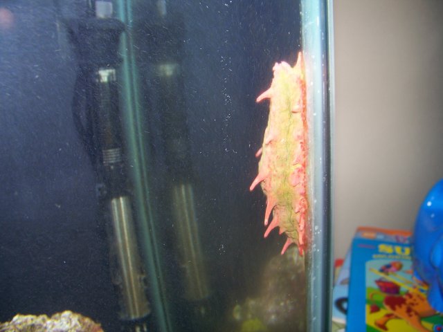 100_0846.JPG