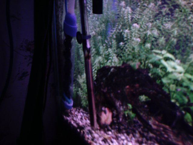 pic-9.JPG