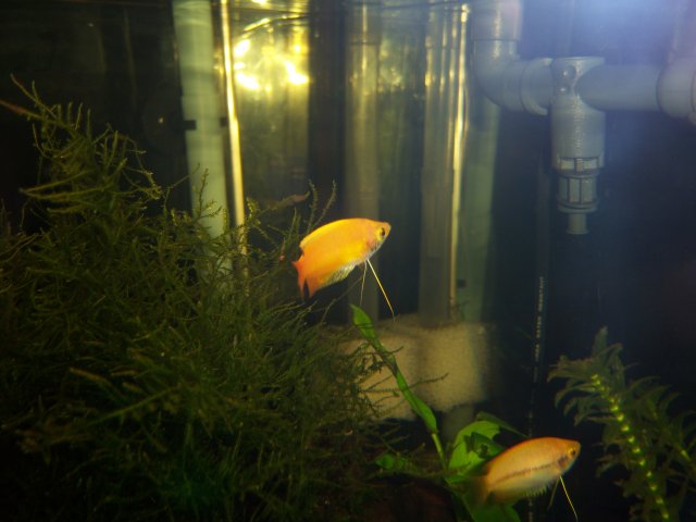 100_1568.jpg 100_1568.jpg