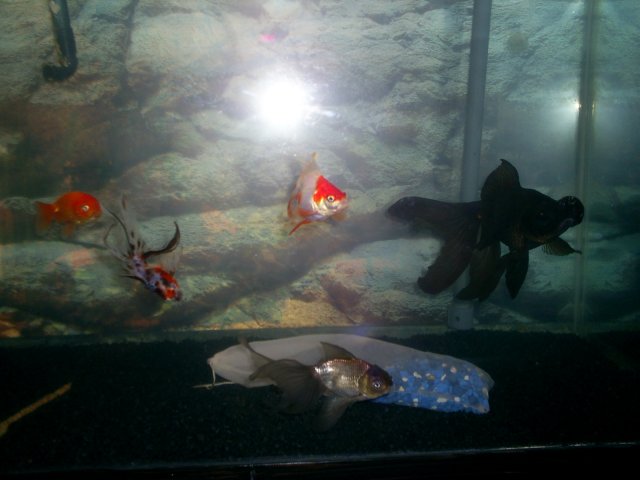 080507 012.JPG