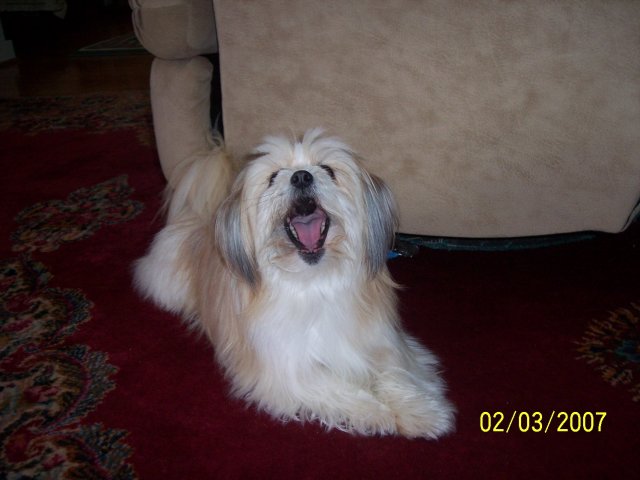 000_3985.JPG