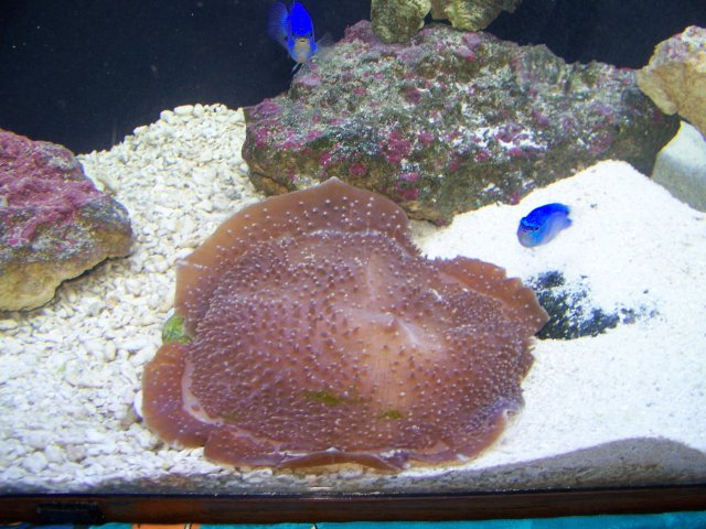 100_0857.JPG