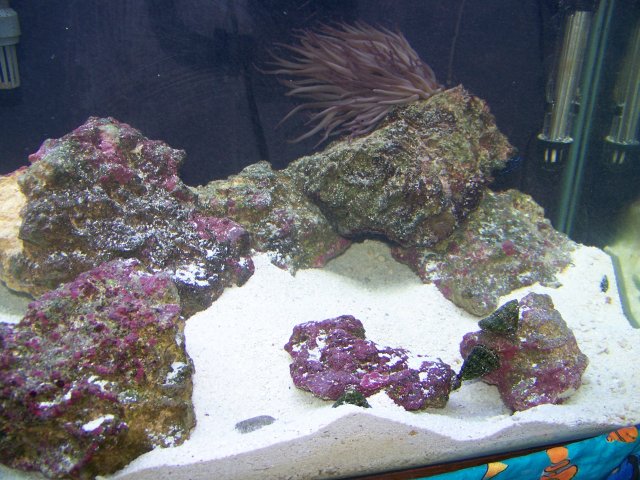 100_0858.JPG
