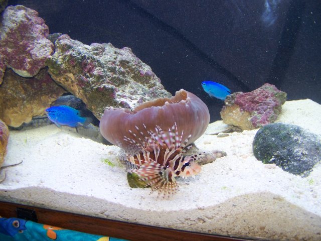 100_0869.JPG