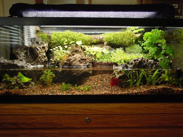 Vivarium-1.JPG