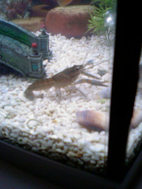 Photo-0011.jpg Photo-0011.jpg