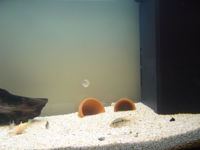 DSC01289.JPG