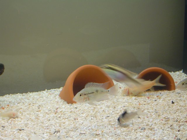 DSC01257.JPG