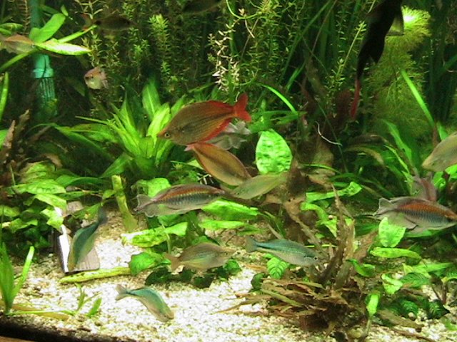 IMG_1034.JPG