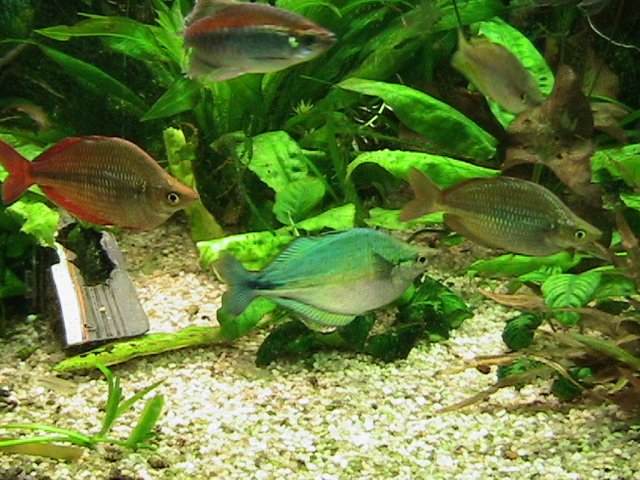 IMG_1037.JPG