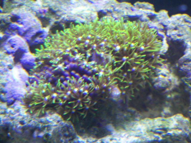 100_0620.JPG