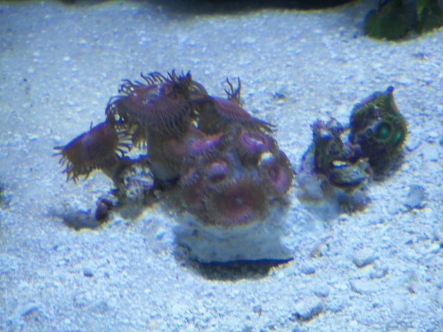 100_0621.JPG