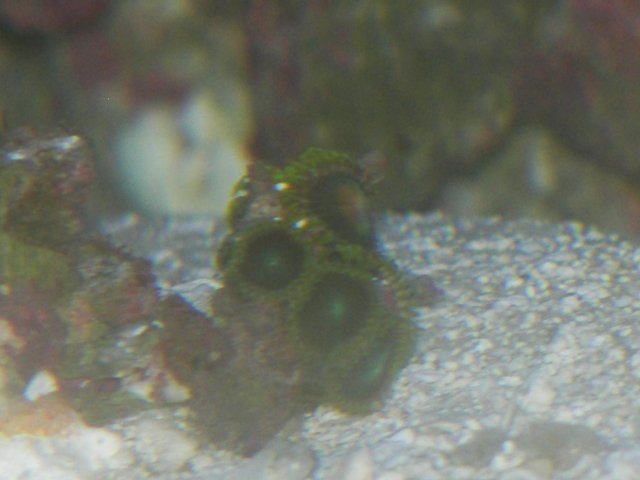 100_0625.JPG
