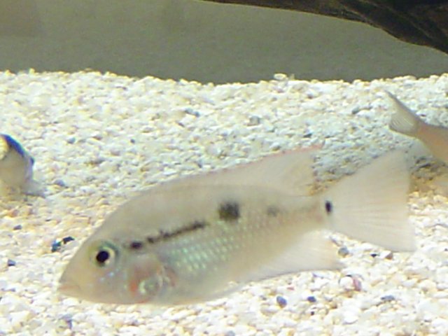 DSC01366.JPG