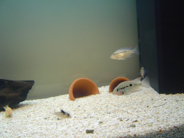 DSC01350.JPG