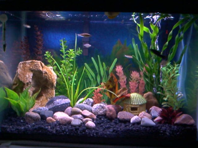 20G.jpg
