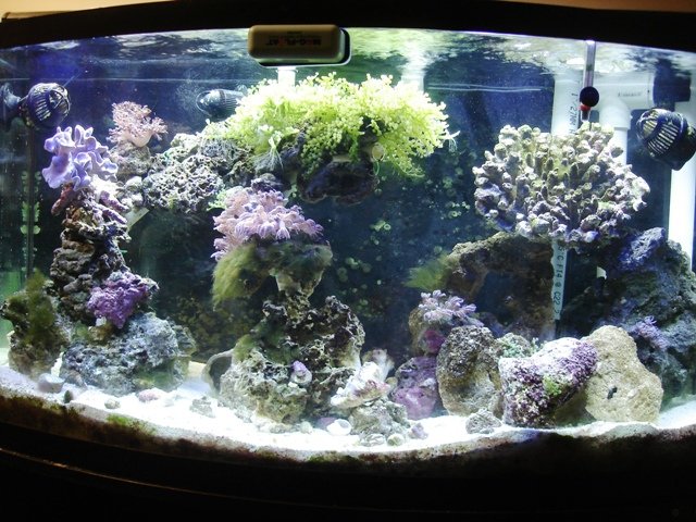 Picture 006.jpg