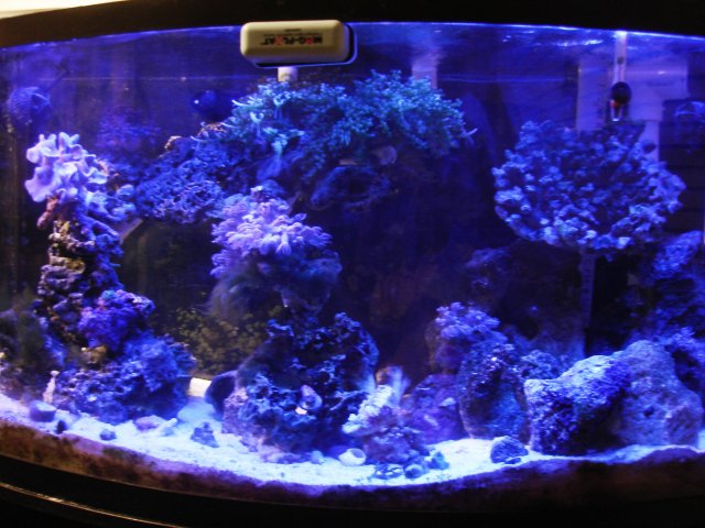 Picture 007.jpg