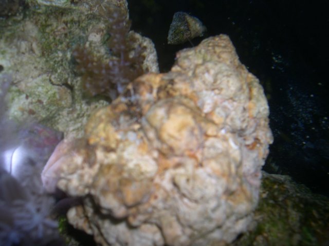 Picture 082.jpg