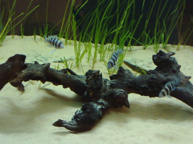 02102007658.jpg
