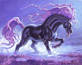kelpie.jpg