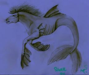 007_KELPIE_-_SILVERtn.JPG