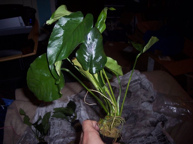 100_0989.JPG