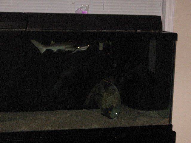 Picture 689.jpg