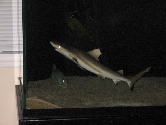 Picture 686.jpg
